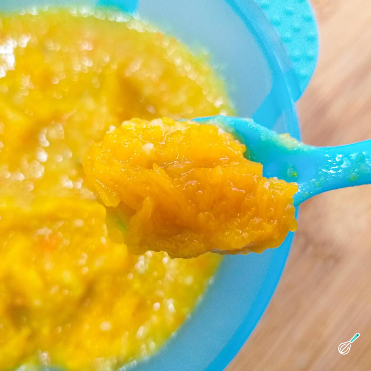 Receita de Papinha para bebê de 6 meses para congelar