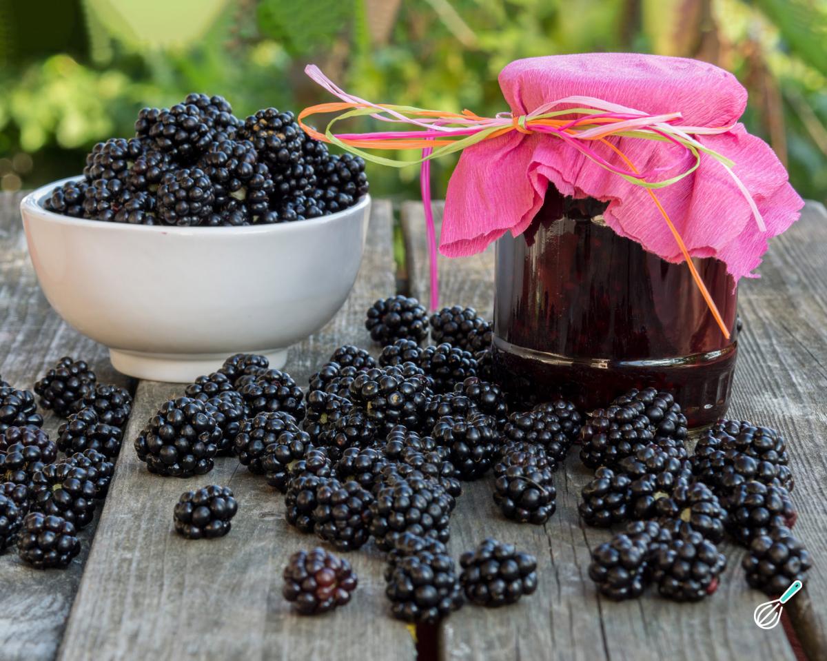 Receita de Geleia de amora fácil