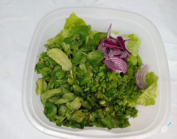 Receita de Salada espanhola - Passo 5