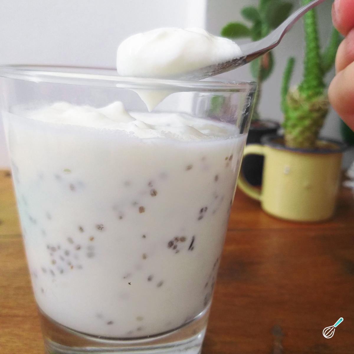 Receita de Pudim de chia com iogurte