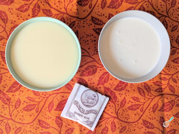 Receita de Pudim com três ingredientes que não vai no forno - Passo 1