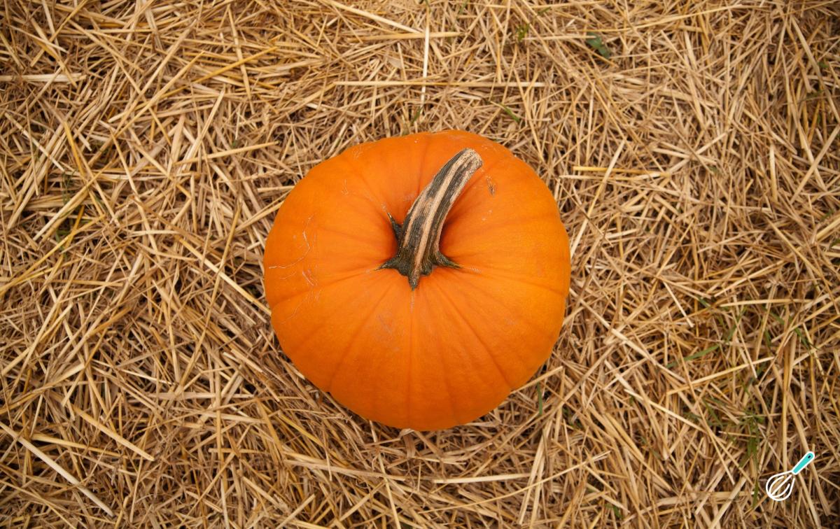 Como congelar abóbora