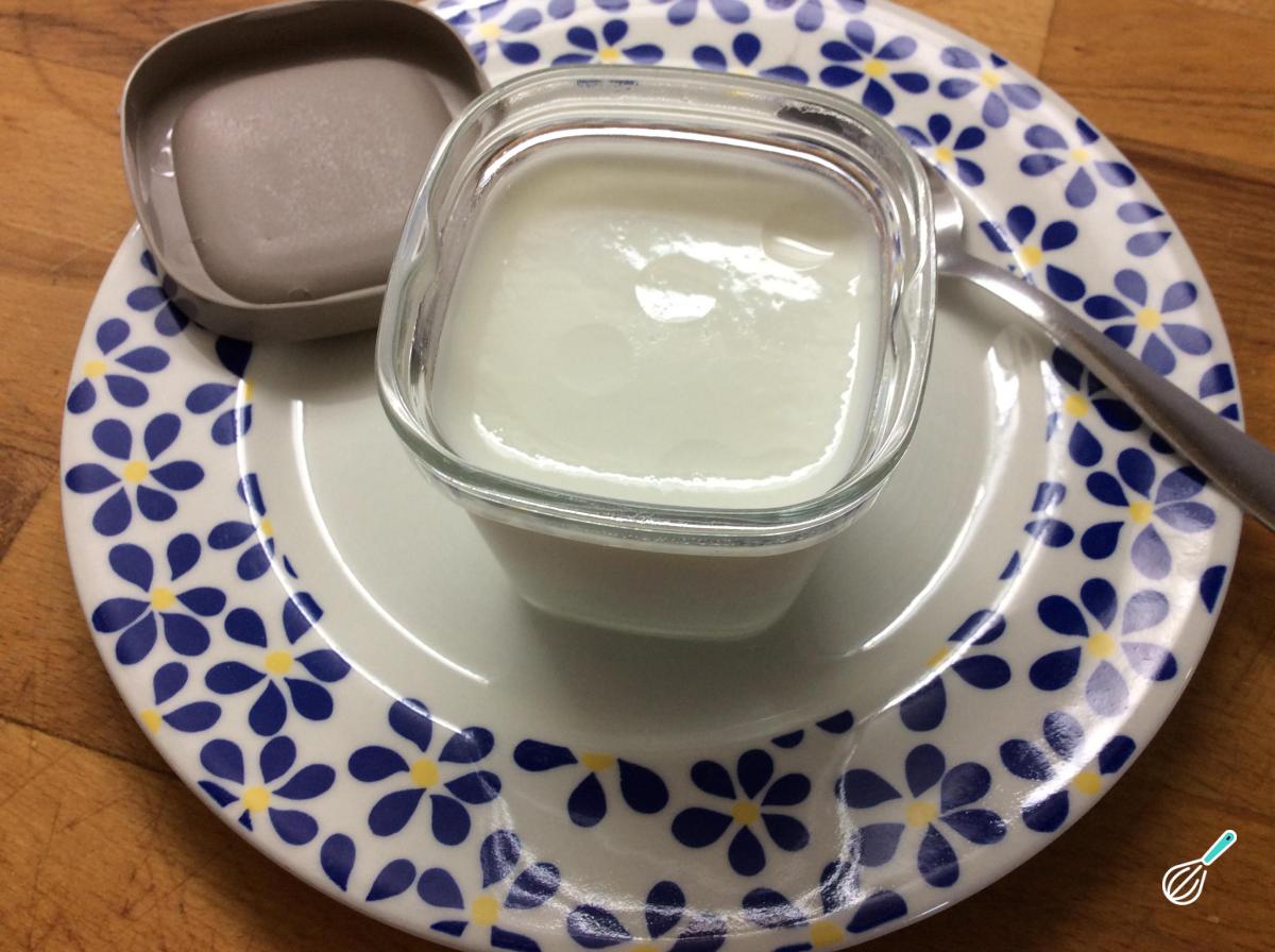 Receita de Iogurte sem lactose