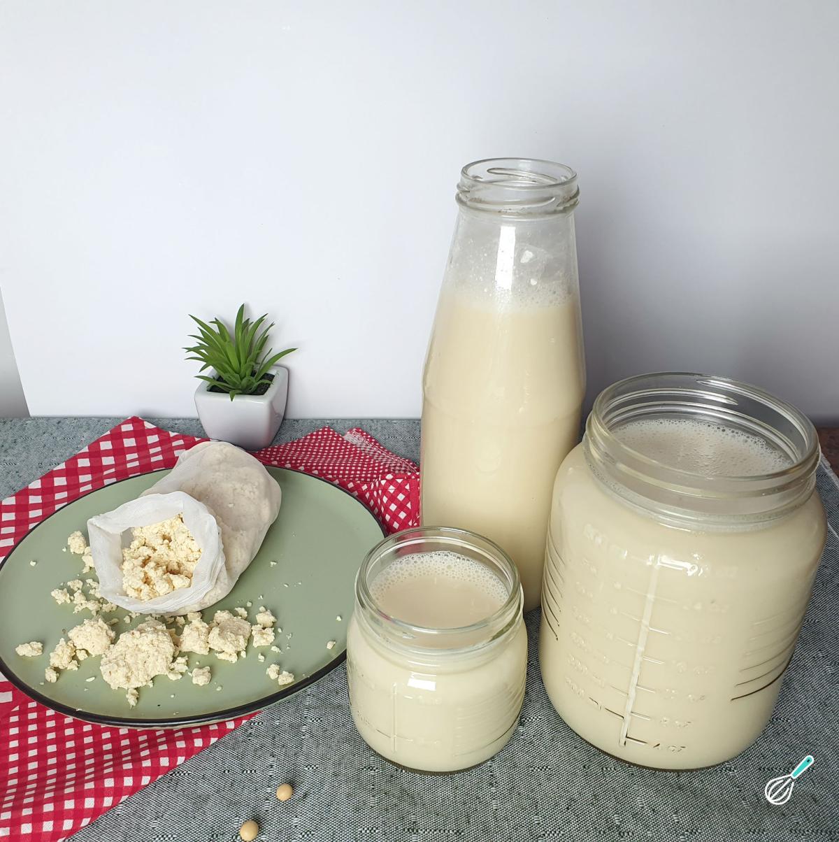 Leite de soja caseiro