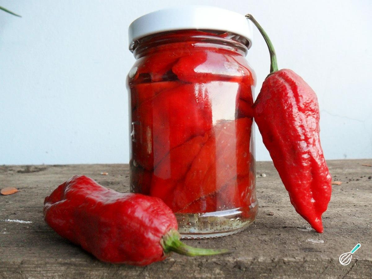 Receita de Pimenta em conserva