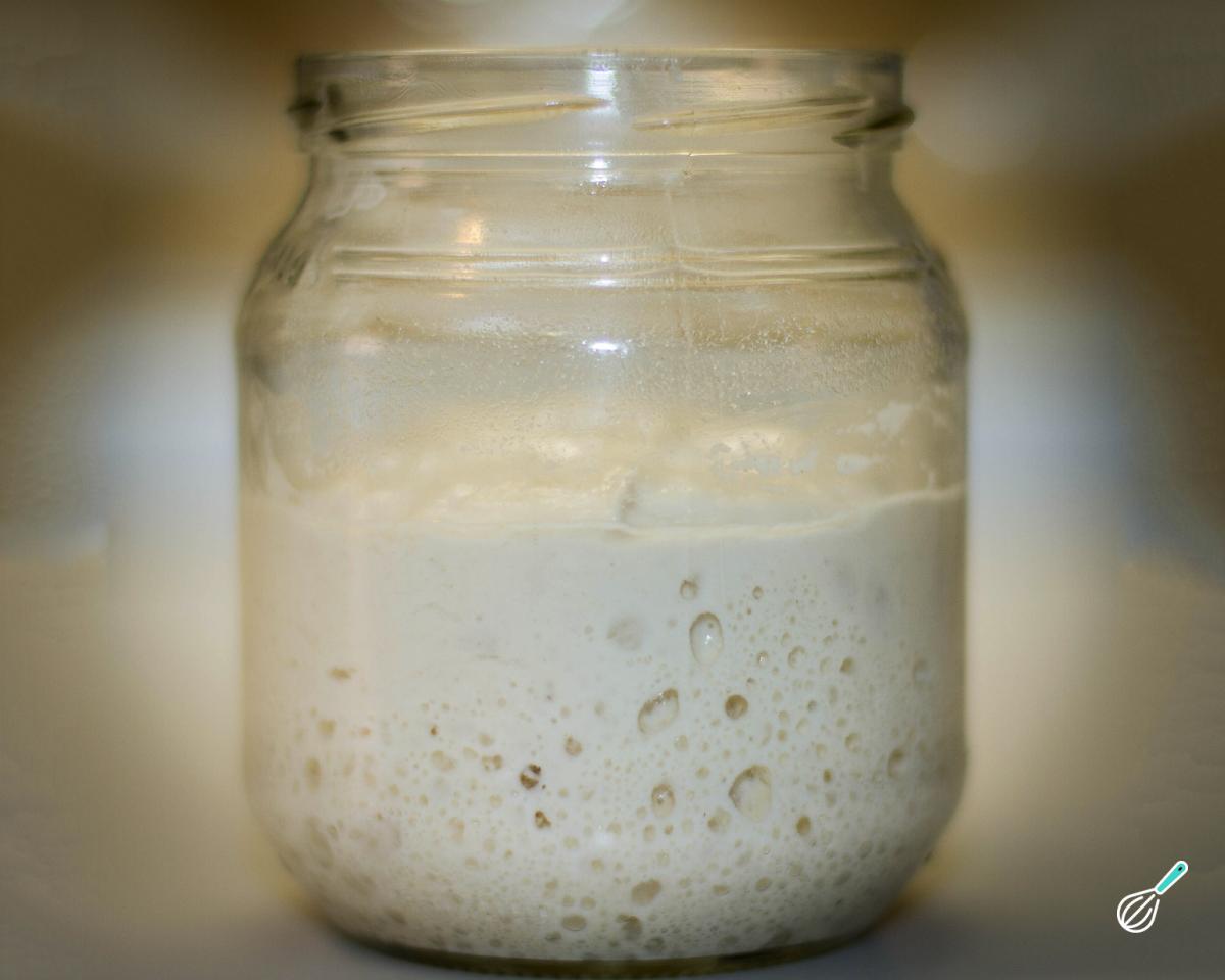 Receita de Fermento caseiro de trigo