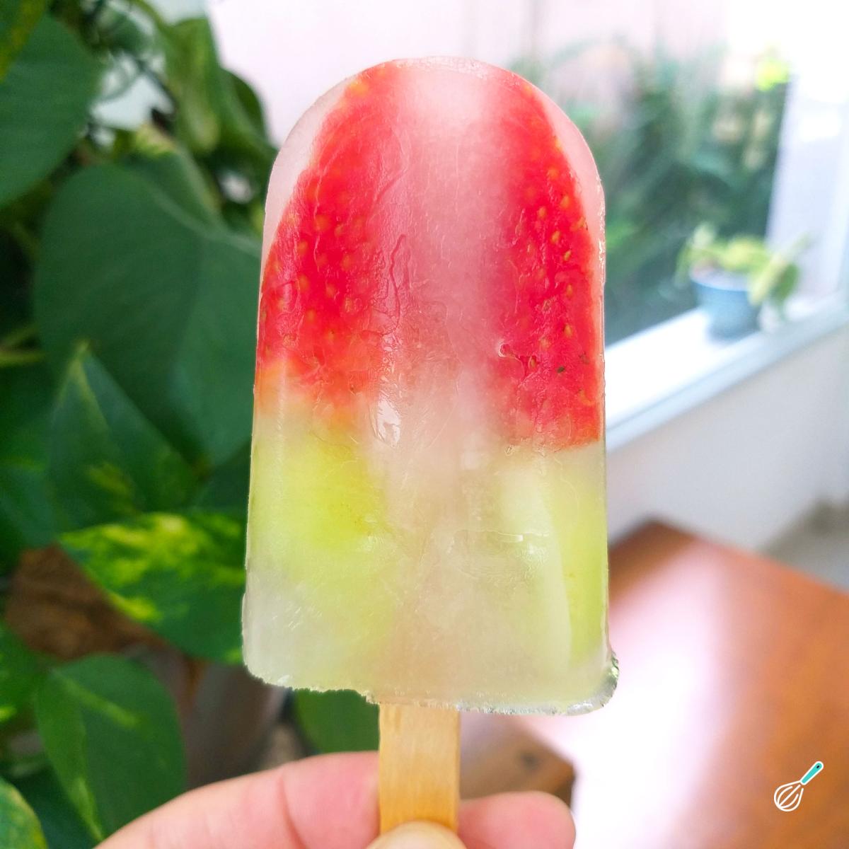 Receita de Picolé de frutas com água de coco